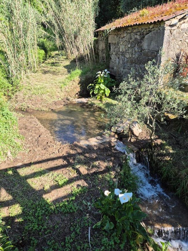 As Casinhas Do Moinho Villa Valenca Dış mekan fotoğraf